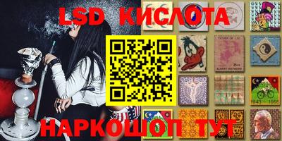 spice Обь