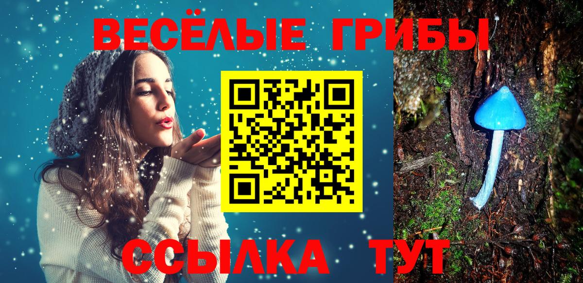 Псилоцибиновые грибы Psilocybine cubensis  Вход с VPN  Псилоцибиновые грибы Magic Shrooms  Артём 
